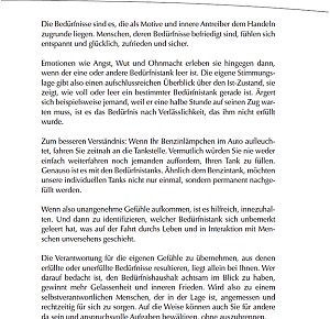 Buch «Bedürfnis-Tankstelle»
