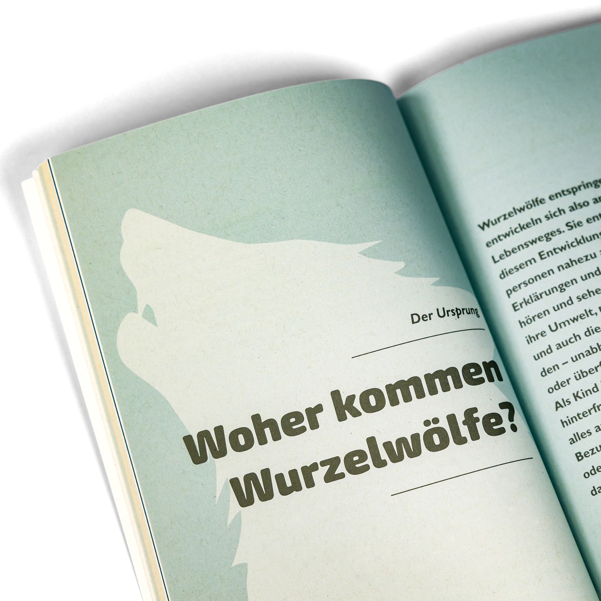 Konfliktklärung durch empathische Wurzelwolf®-Konfrontation